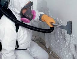 Best Residential Mold Inspection & Testing  in La Puente, CA